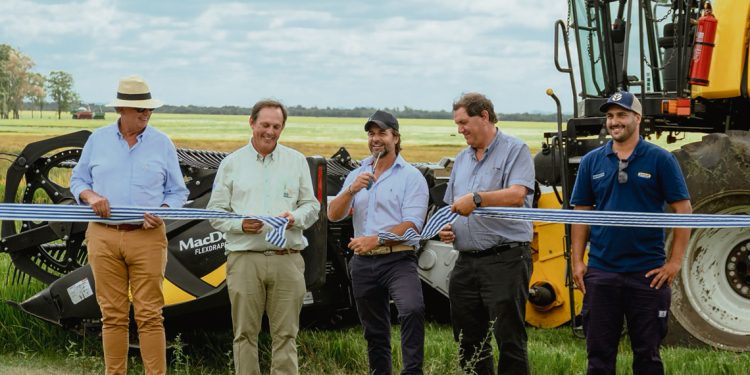 Arroz: una nueva cosecha en marcha