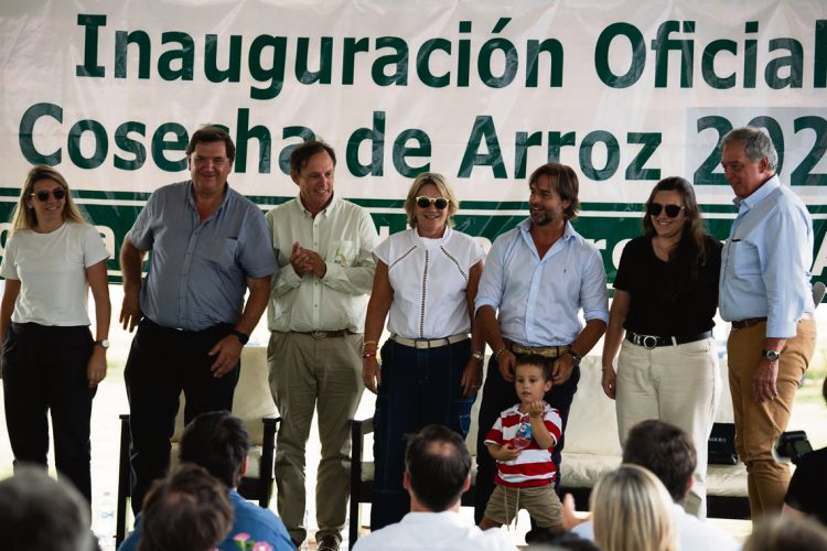 Arroz: una nueva cosecha en marcha