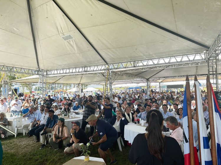 Arroz: una nueva cosecha en marcha