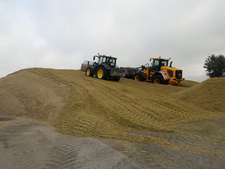 Sector agrícola alemán: Las decisiones “se toman cada vez más por motivos ideológicos y no se basan en principios técnicos”