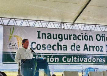 Cadena arrocera: “Es el momento de mejorar la competitividad”