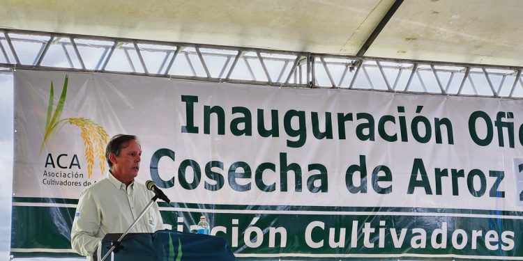 Cadena arrocera: “Es el momento de mejorar la competitividad”