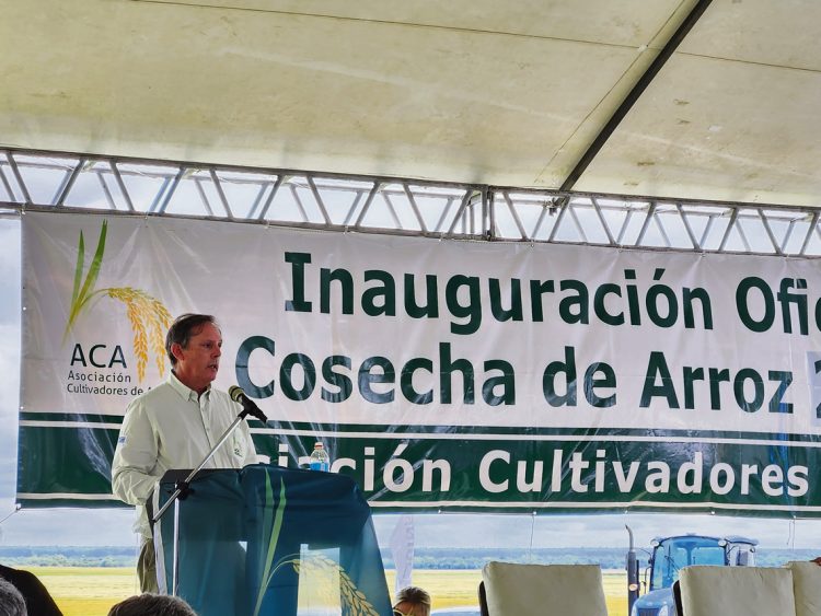 Cadena arrocera: “Es el momento de mejorar la competitividad”