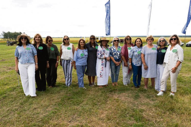 Arroz: una nueva cosecha en marcha