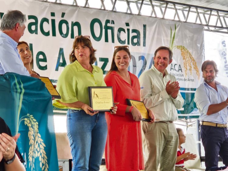 Arroz: una nueva cosecha en marcha