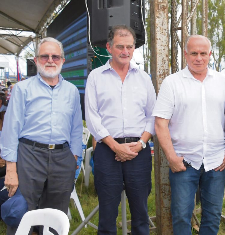 Arroz: una nueva cosecha en marcha