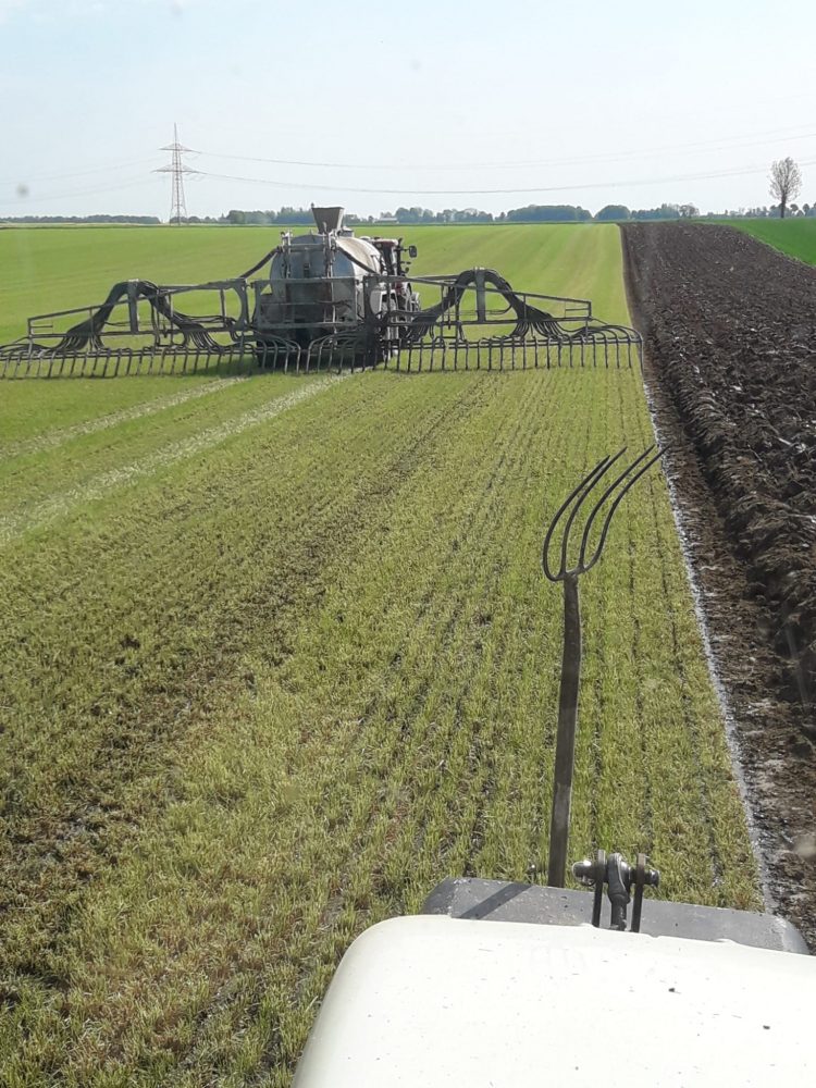Sector agrícola alemán: Las decisiones “se toman cada vez más por motivos ideológicos y no se basan en principios técnicos”
