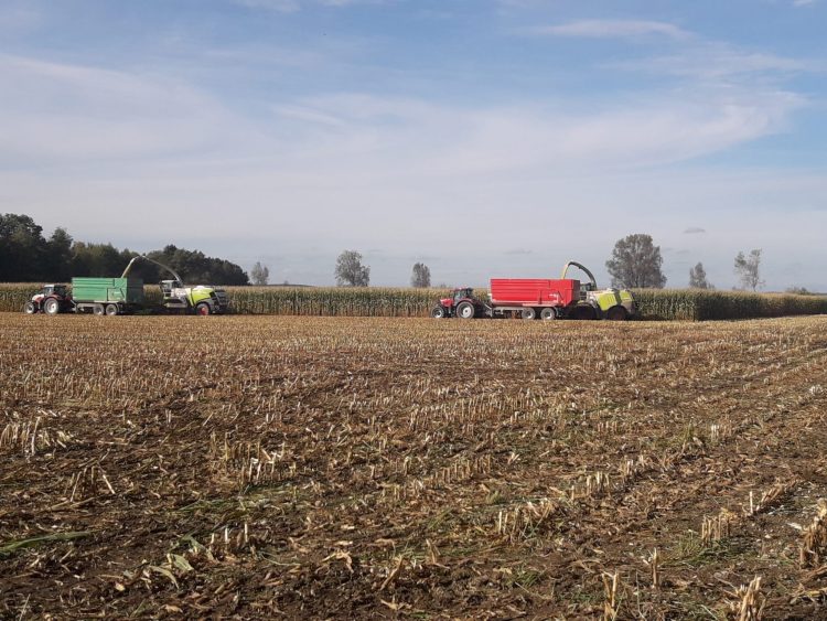 Sector agrícola alemán: Las decisiones “se toman cada vez más por motivos ideológicos y no se basan en principios técnicos”