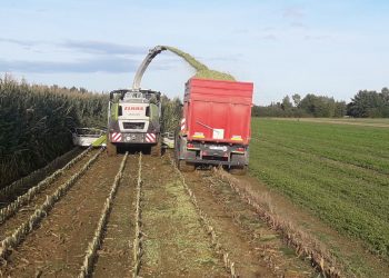 Sector agrícola alemán: Las decisiones “se toman cada vez más por motivos ideológicos y no se basan en principios técnicos”