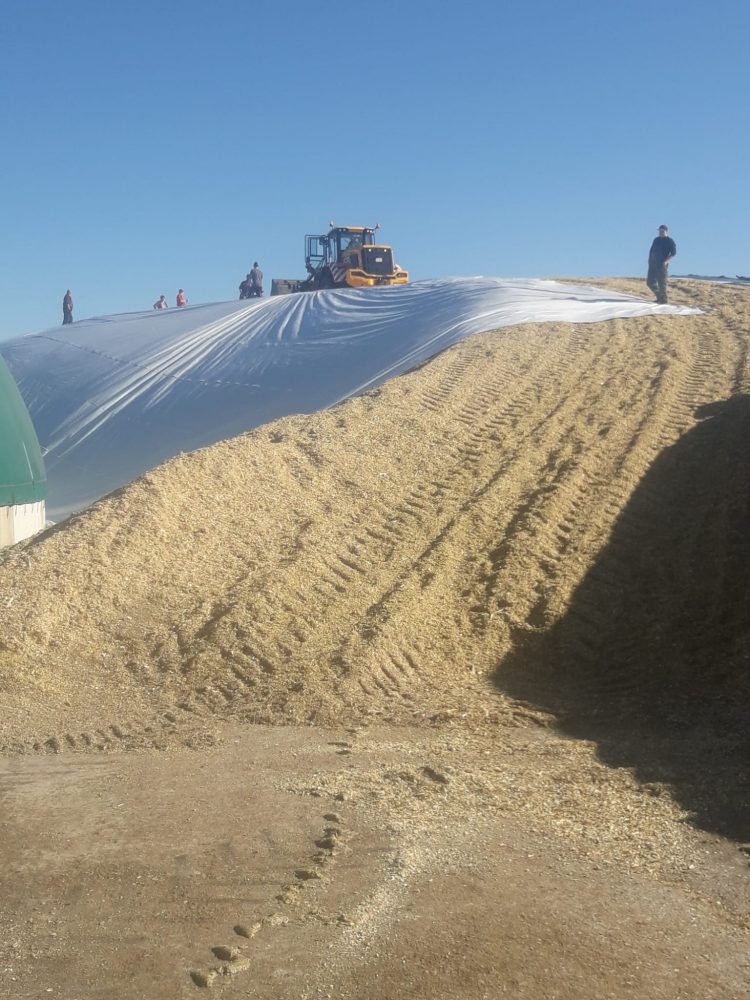 Sector agrícola alemán: Las decisiones “se toman cada vez más por motivos ideológicos y no se basan en principios técnicos”