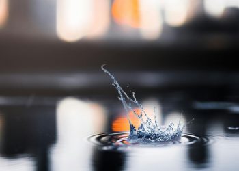 Hoy se celebra el Día Mundial del Agua