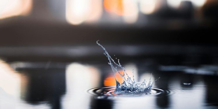 Hoy se celebra el Día Mundial del Agua