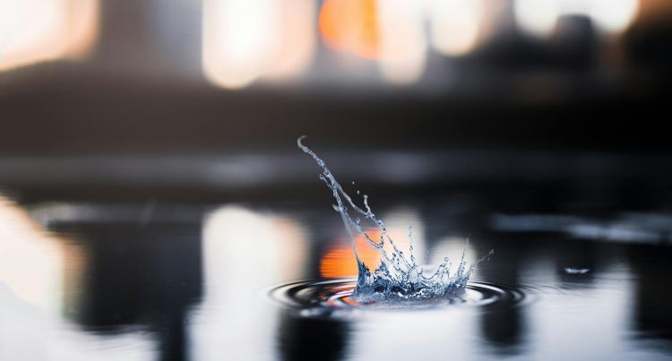 Hoy se celebra el Día Mundial del Agua