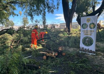 Efectivos del Ejército colaboran con tareas de limpieza luego del temporal