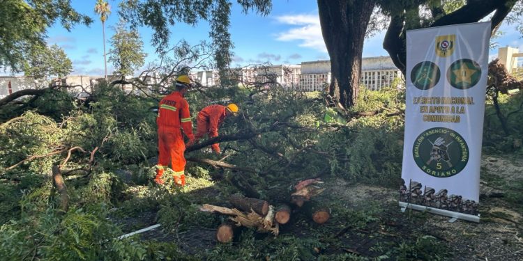 Efectivos del Ejército colaboran con tareas de limpieza luego del temporal