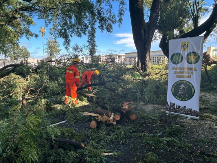 Efectivos del Ejército colaboran con tareas de limpieza luego del temporal