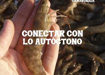 Turismo: Rocha y Río Negro preparan una intensa y atrapante agenda para la semana