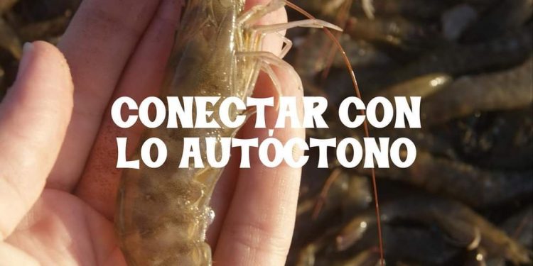 Turismo: Rocha y Río Negro preparan una intensa y atrapante agenda para la semana