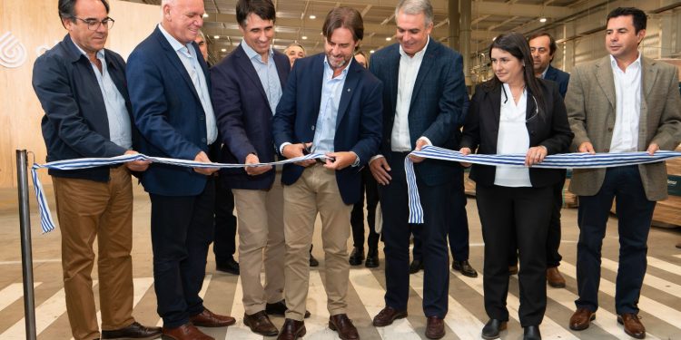 Con espíritu de sumar valor a la madera se inauguró nueva planta de debobinado en Treinta y Tres