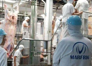 Defensa de la Competencia extendió el plazo para la comparecencia de terceros en el tema Minerva-Marfrig