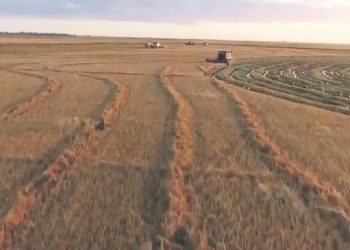 Una empresa comprometida con la productividad del país