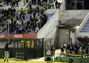 ¿Quién le pone el cascabel al gato?