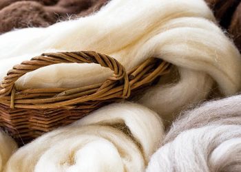 En el cierre de la semana el precio de la lana cayó 2,5% a US$ 7,53