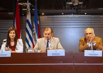 Ley de Paridad: “Hay intereses personales detrás de la iniciativa”