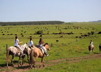 Ruralidad: ancha y profunda