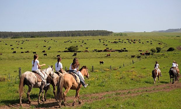 Ruralidad: ancha y profunda