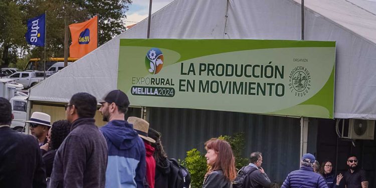 “El primer año la Expo Melilla no fue un éxito económico, pero quedó claro que iba a funcionar”