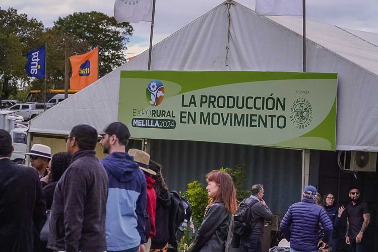 “El primer año la Expo Melilla no fue un éxito económico, pero quedó claro que iba a funcionar”