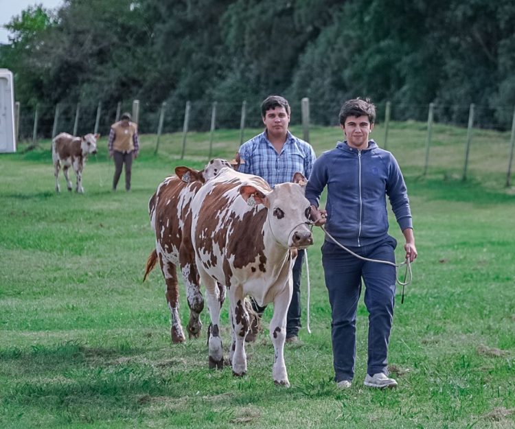ARJU busca apoyar a todos los jóvenes que tengan interés en las actividades rurales