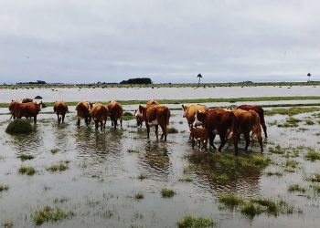 Rocha sigue esperando por obras planificadas hace casi 90 años