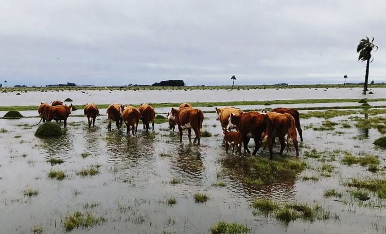 Rocha sigue esperando por obras planificadas hace casi 90 años