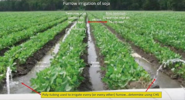 En la búsqueda de regar con menos agua para producir más soja y arroz