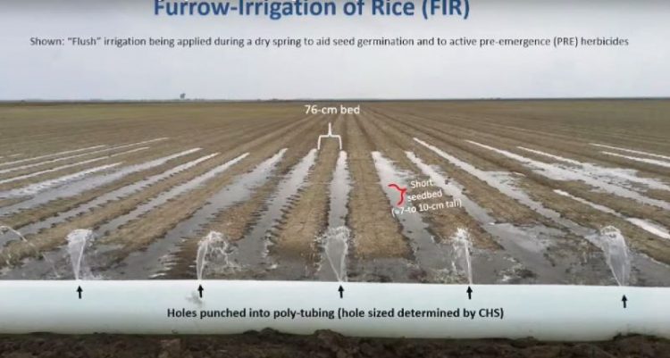 En la búsqueda de regar con menos agua para producir más soja y arroz