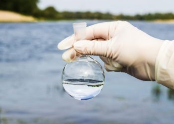 La semana en el mundo: 24 de abril