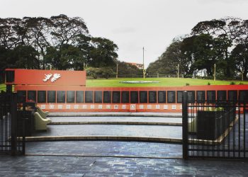 Madres de Malvinas: las heroínas que siguen en pie entre un duelo interminable y la defensa de la soberanía