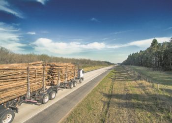 Intendente de Paysandú contra camiones de UPM 2: “Se agotó la paciencia con estos atrevidos”