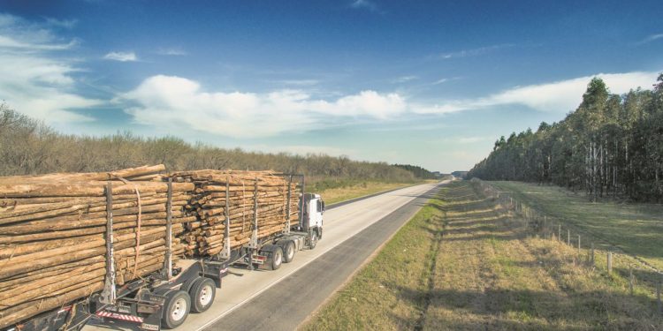 Intendente de Paysandú contra camiones de UPM 2: “Se agotó la paciencia con estos atrevidos”