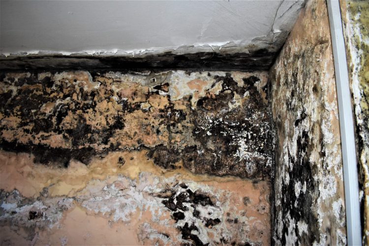 Centro de salud Enrique Claveaux: de las ruinas a ser un lugar de referencia para ASSE