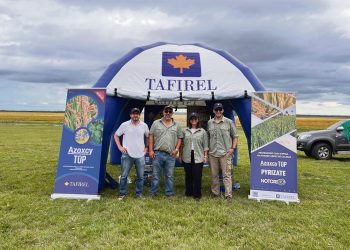 Tafirel: en constante evolución para cosechas sanas y frondosas
