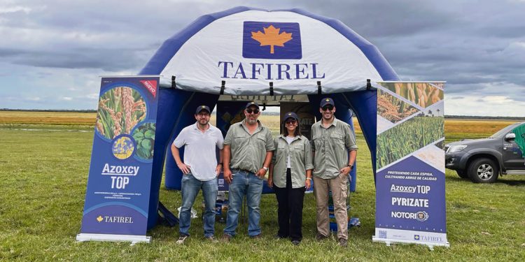 Tafirel: en constante evolución para cosechas sanas y frondosas
