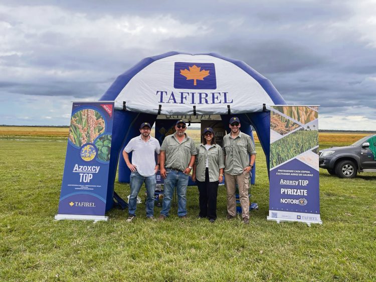 Tafirel: en constante evolución para cosechas sanas y frondosas