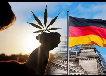 Alemania Legalizó el consumo recreativo del cannabis