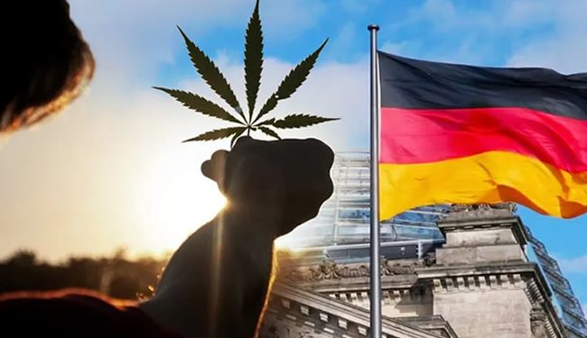 Alemania Legalizó el consumo recreativo del cannabis