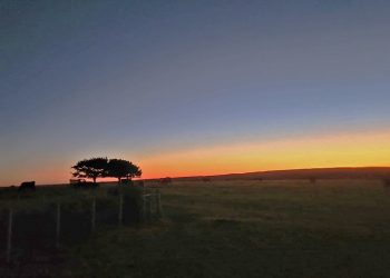 Inflación en dólares: la pandemia del sector exportador