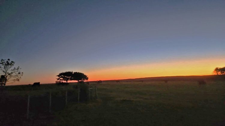 Inflación en dólares: la pandemia del sector exportador