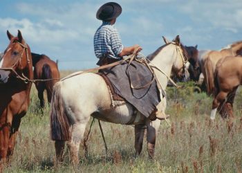 El 15 de abril se celebra el Día del Productor Rural
